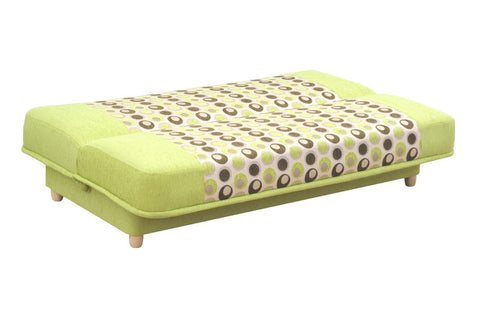 Stylish Green Couch
